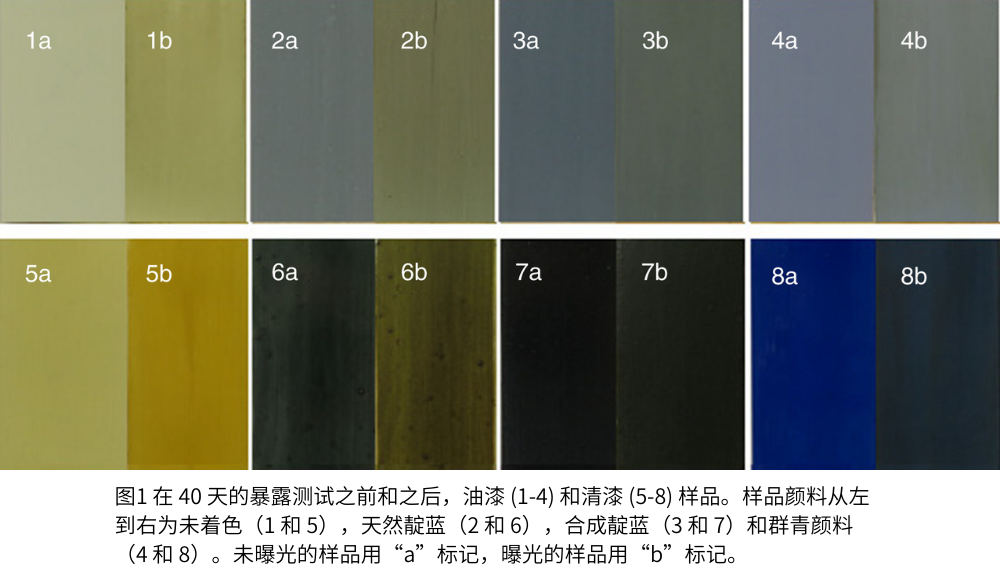 圖1 在 40 天的暴露測試之前和之后，油漆 (1-4) 和清漆 (5-8) 樣品。