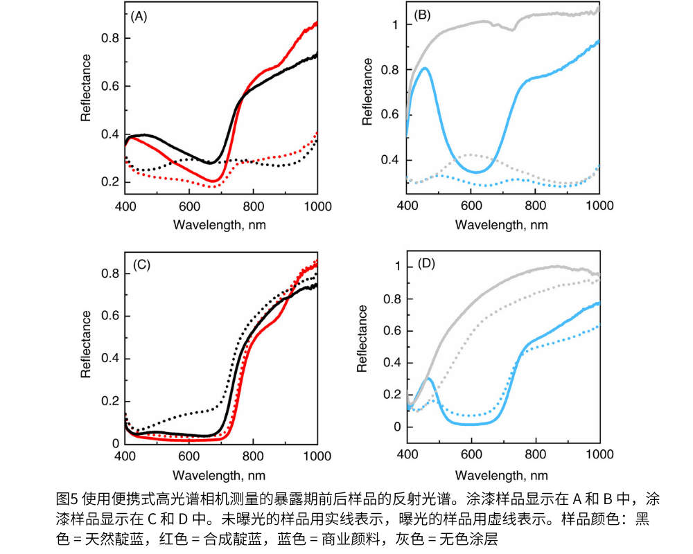 圖5 使用便攜式高光譜相機測量的暴露期前后樣品的反射光譜。