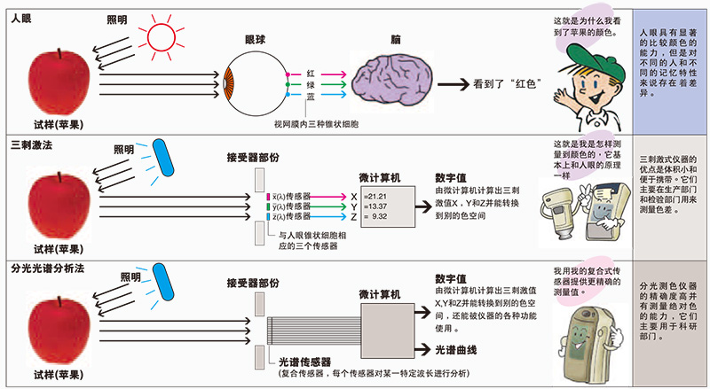 色差的辨別過程